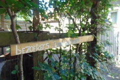 DSC00007